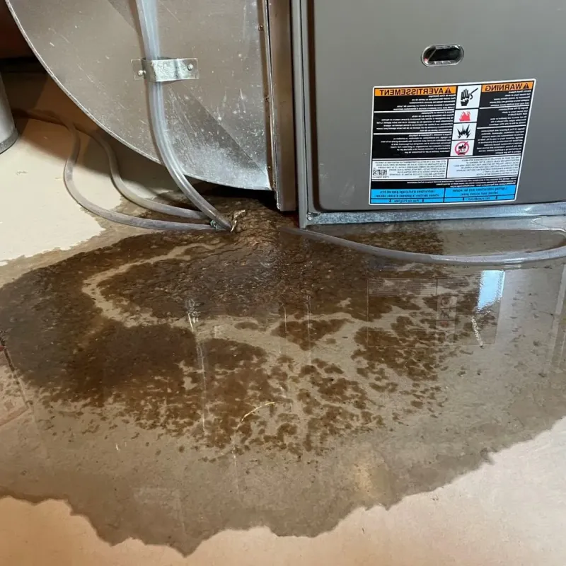 Pipe Burst and Leak Restoration in Fayette County, IN