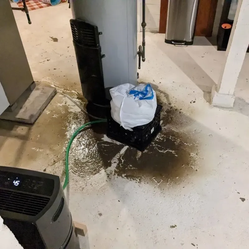 Sewage Backup Cleanup Service in Fayette County, IN